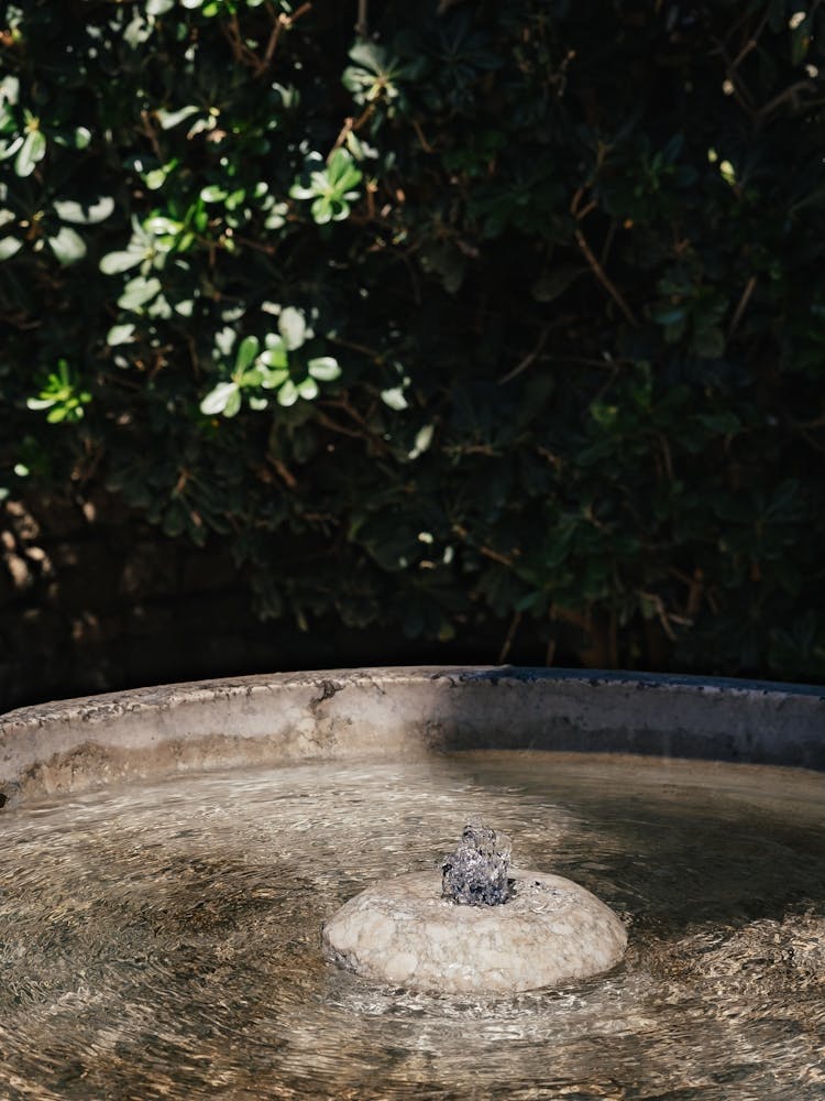 Fontaine en gros plan, Grenade, Espagne