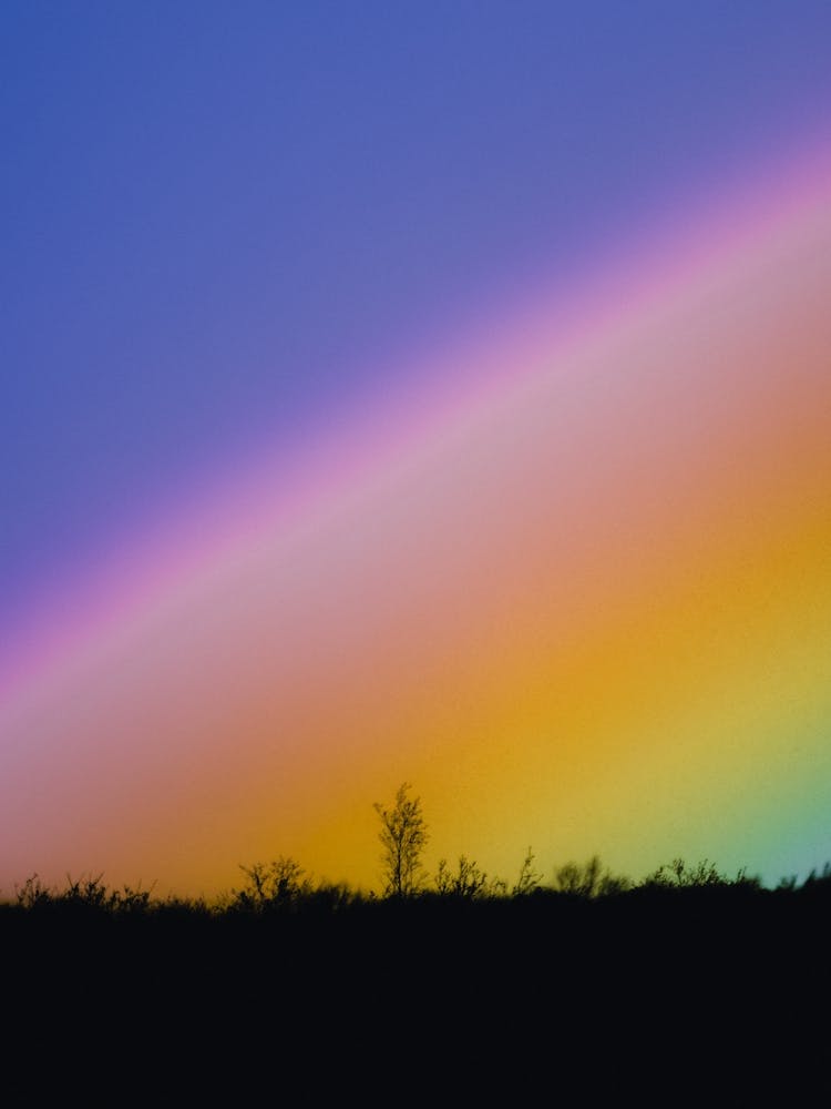 Color Burst