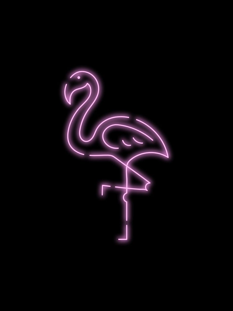 Neon Flamingo