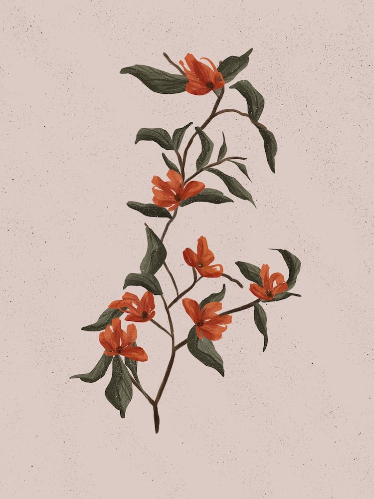 Blüte
