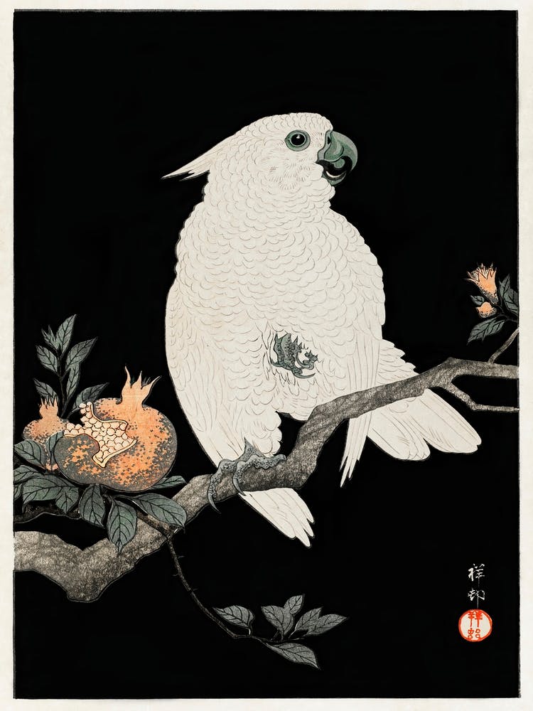 Cockatoo With Pomegranate (1927), Ohara Koson