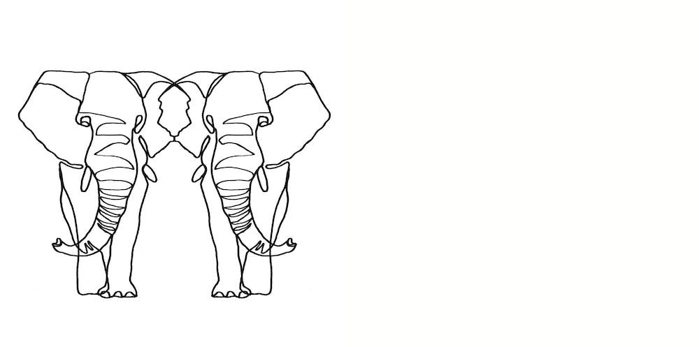 Elephant Lines