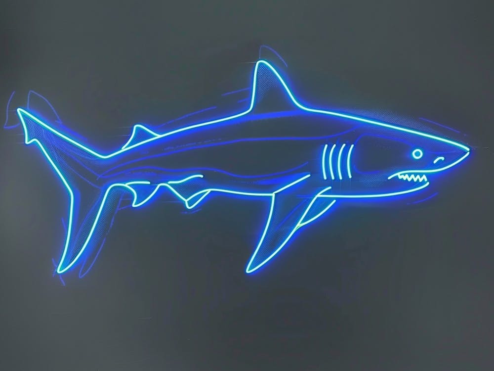 Neon Blacktip Reef Shark 5