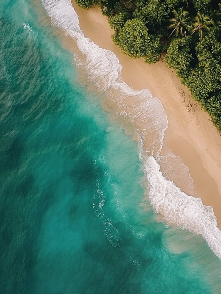 Aerial View Of A Tropical Beach 5
