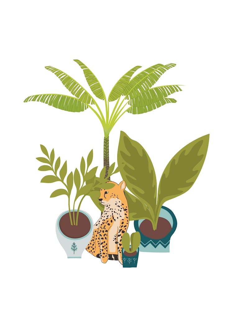 My Urban Jungle Cat 2