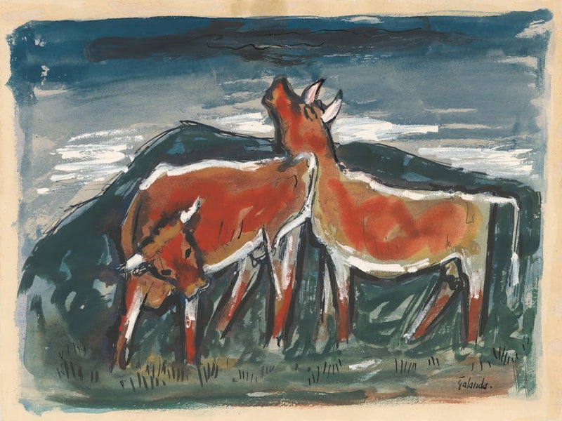 Cows, Mikuláš Galanda