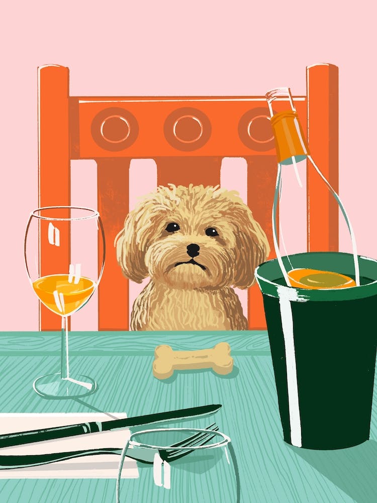 Puppy At The Pub
