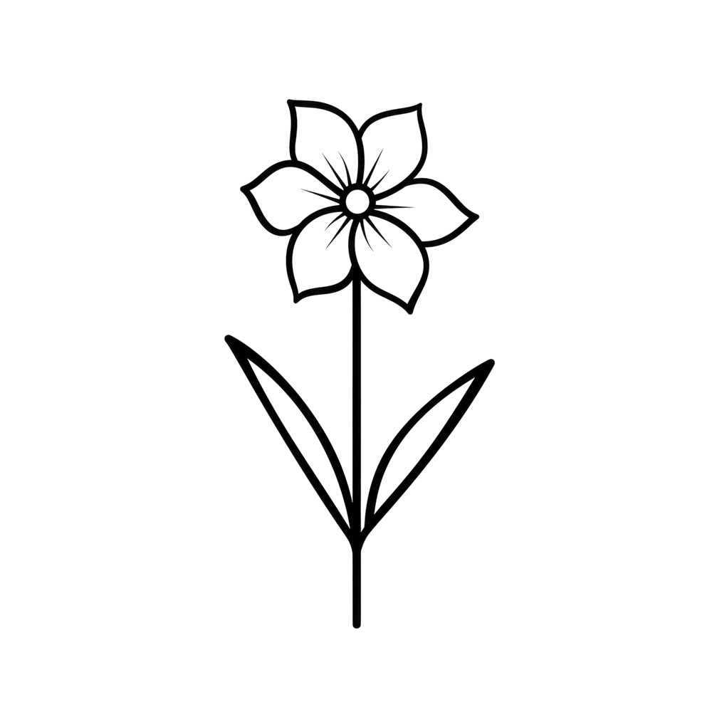 Narcissus December Birth Month Flower