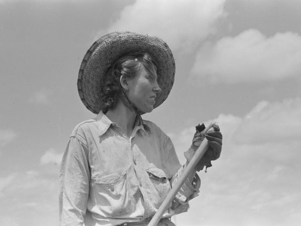 Sharecropper S Wife With Hoe, New Madrid County, Missouri By Russell Lee