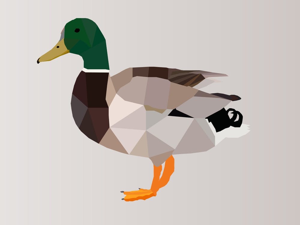 Duck Low Poly Art