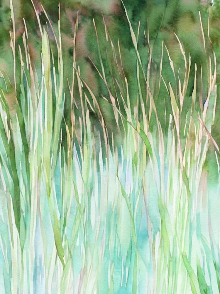 Seegräser II Märchenbuch-Aquarell