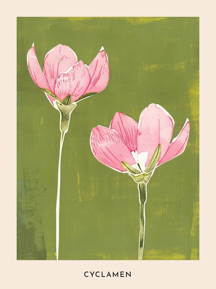 Pink & Green Cyclamen 2 Flower Poster