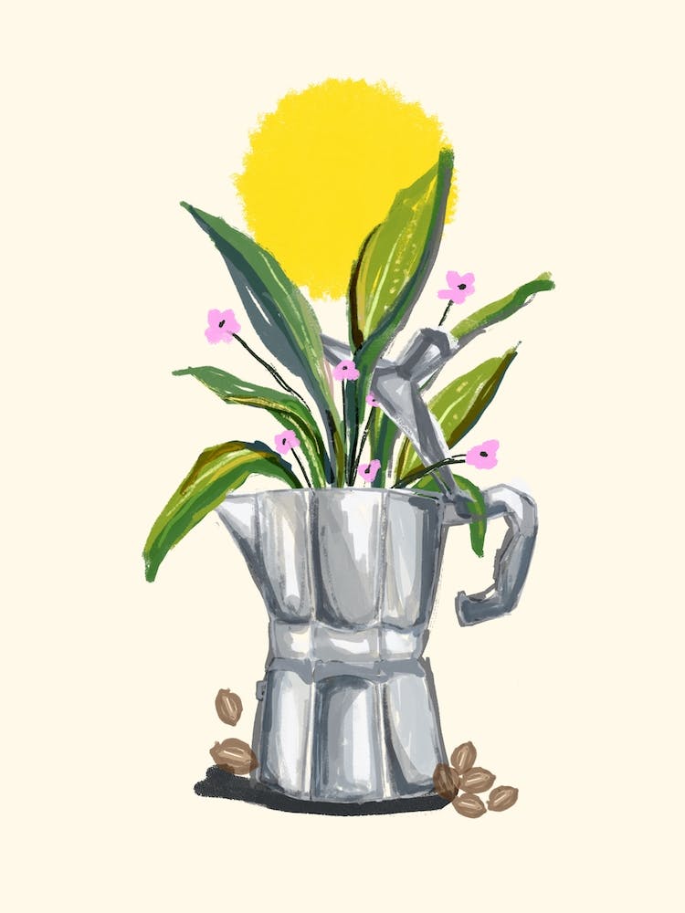 Coffee And Plants