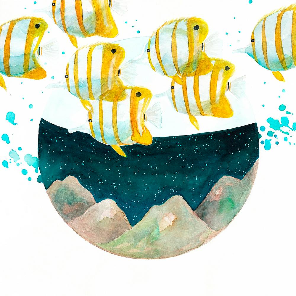 Tropical Fishes