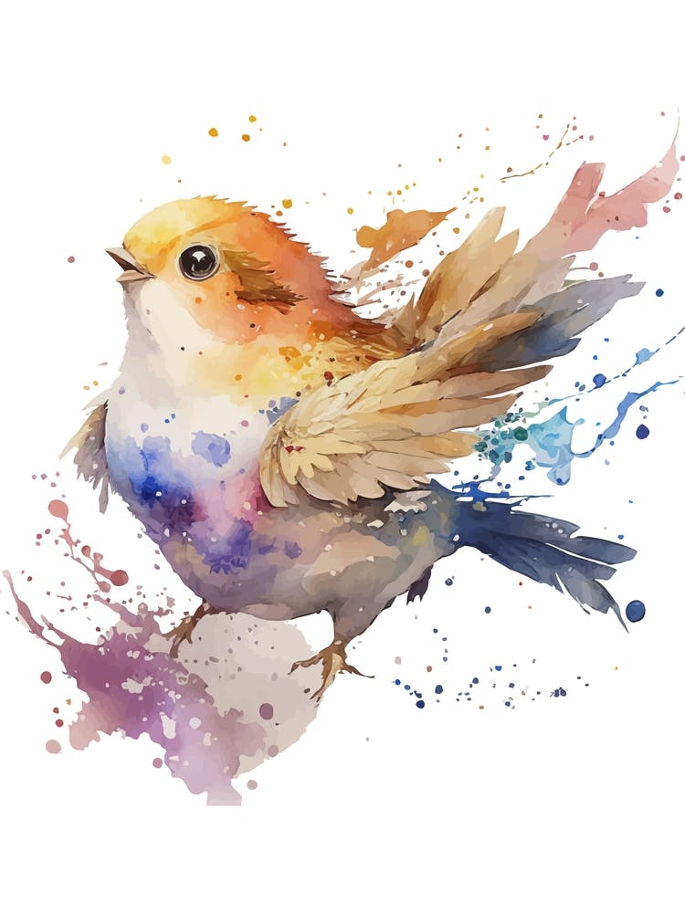 Colorful Bird Watercolor