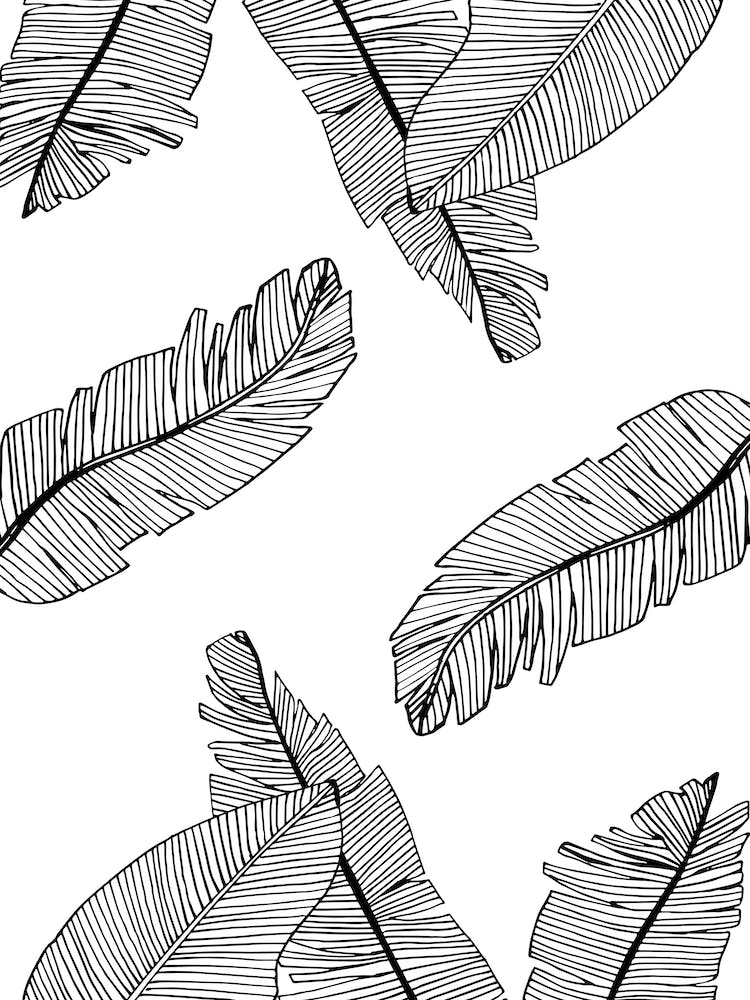 Banana Leaves VI