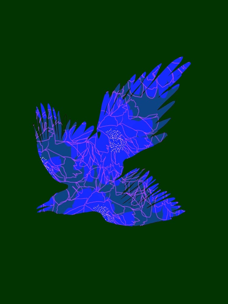 the blue bird