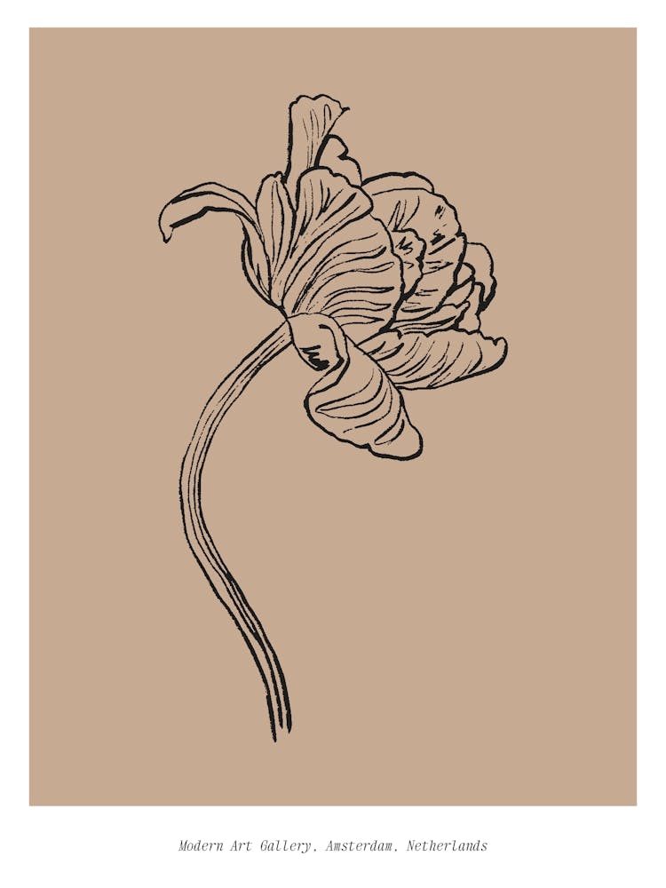 Harmonic lines no 24