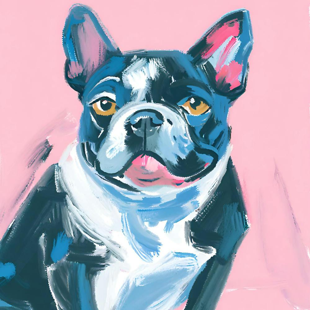 French Bulldog 02