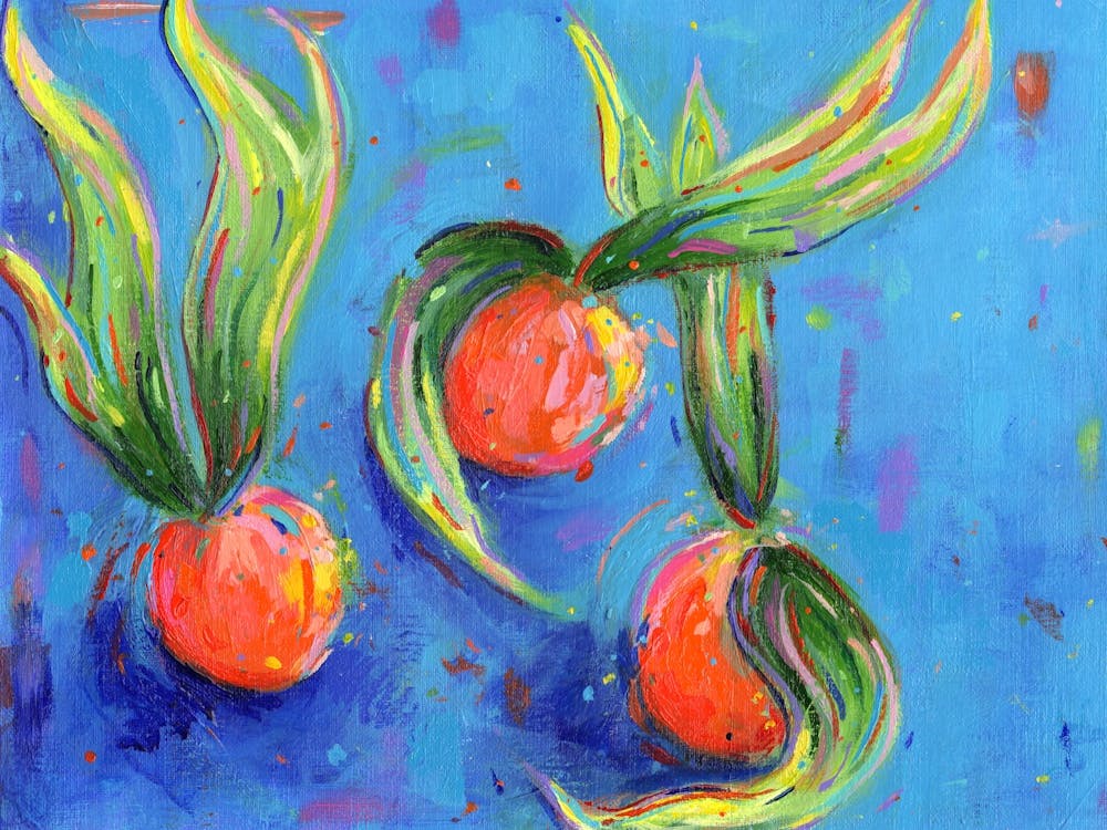 Physalis