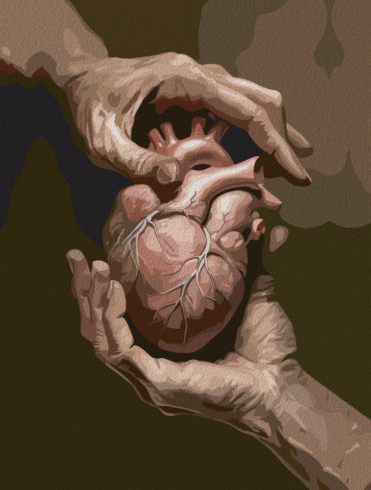 Hands Holding A Heart Profound Art