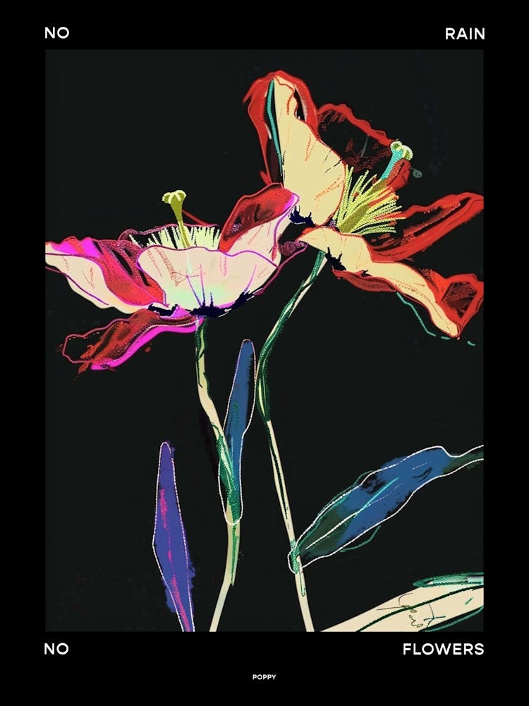 No Rain No Flowers Poster Poppy 1
