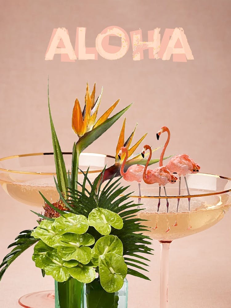 Aloha Flamingo and Cocktails