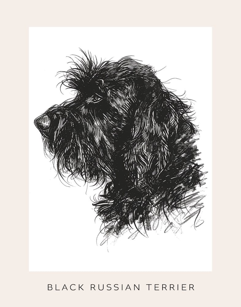 Black Russian Terrier Dog Line Sketch 2 Poster