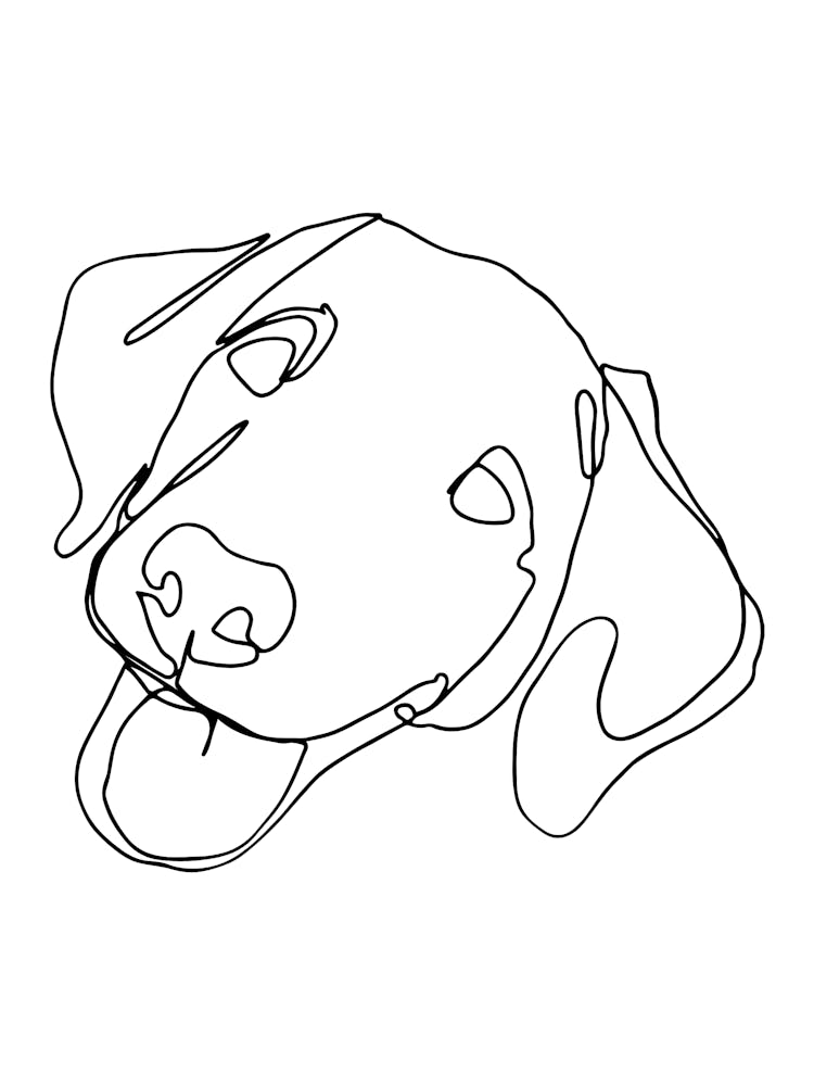 Dog Drawing Monoline Drawing Line Art