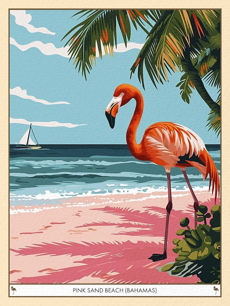 Greater Flamingo Pink Sand Beach Bahamas Tropical Illustration 2 Poster