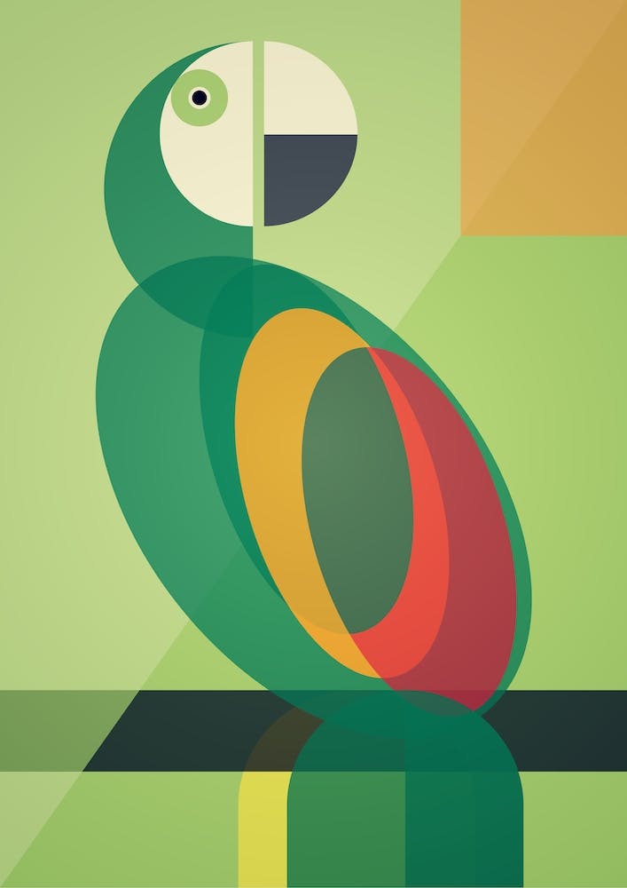 Mid Century Geometric Parrot