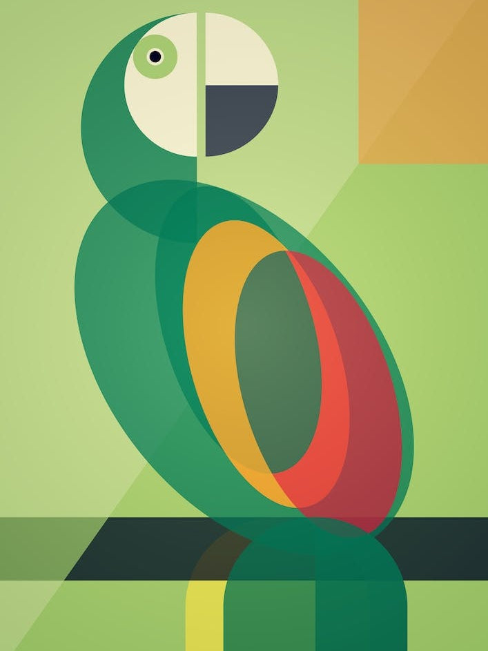 Mid Century Geometric Parrot