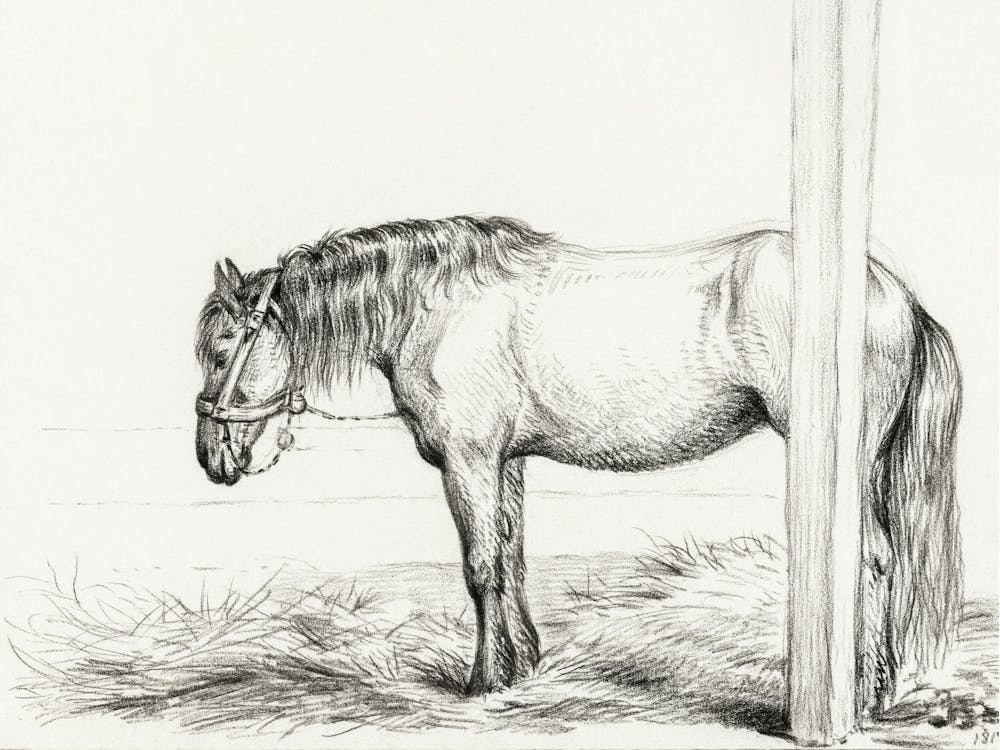 Cheval debout (1817), Jean Bernard