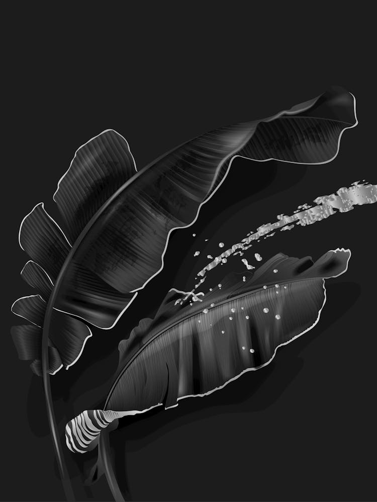 Black And White Banana Leaf