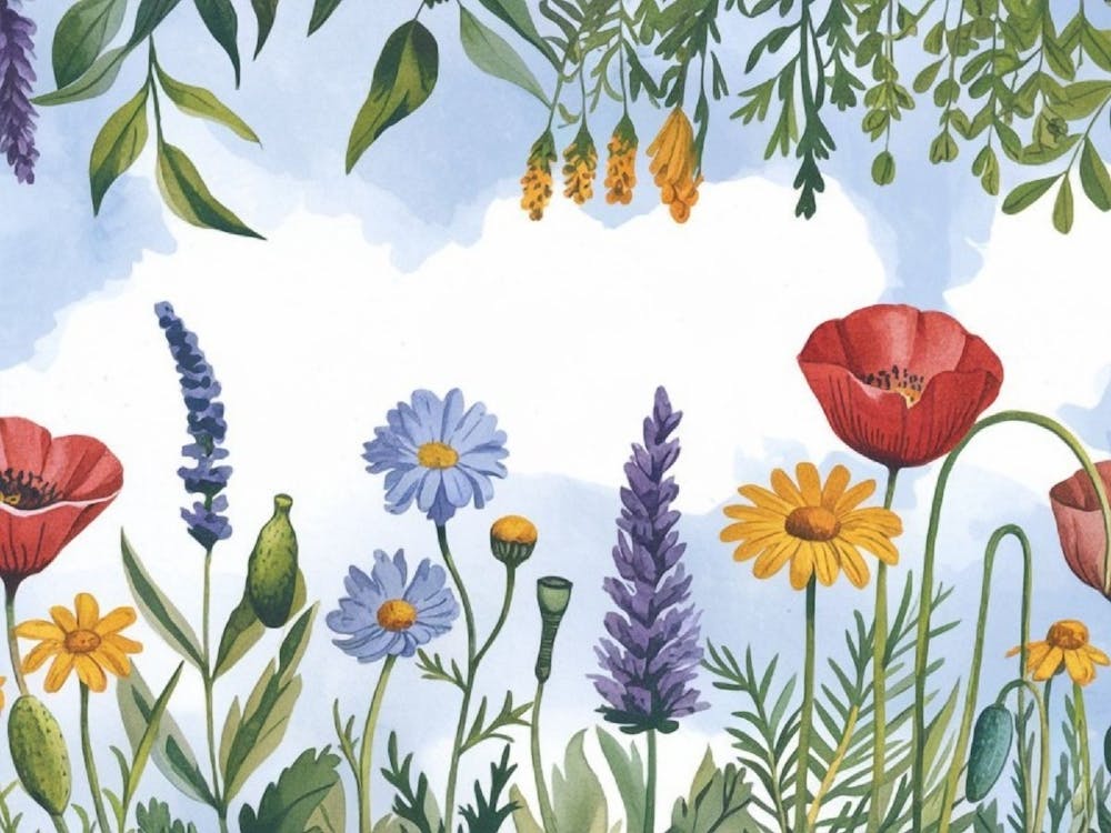 Wildflowers Lavender Flower Drawing, Botanical Art