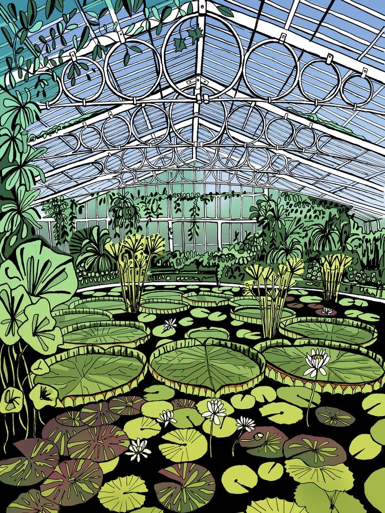Kew Gardens Waterlily House