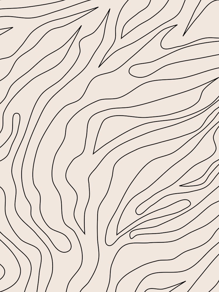 Abstract Lines Cream And Black