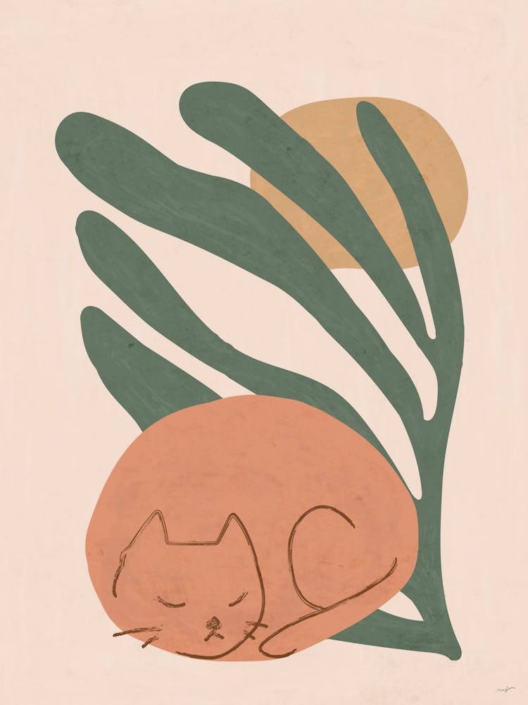 Cat Sleeping On A Leaf