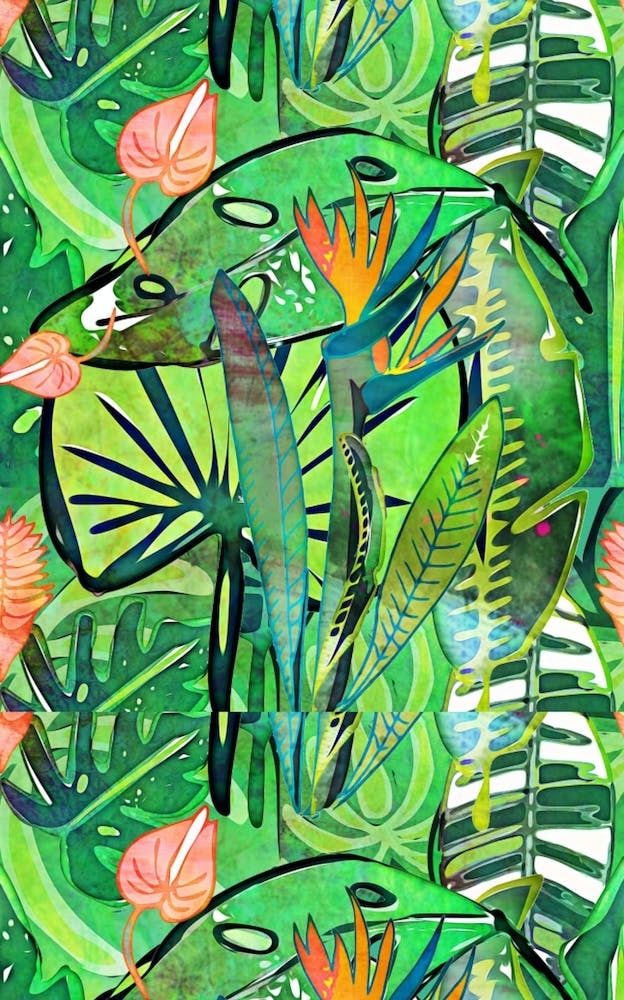 Bird Of Paradise