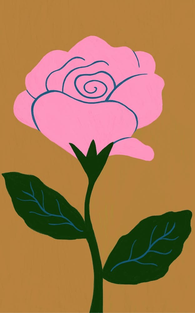 Pink Rose In Brown