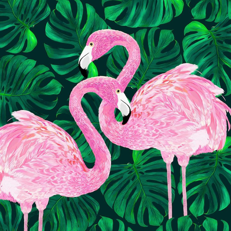 Flamingos Square
