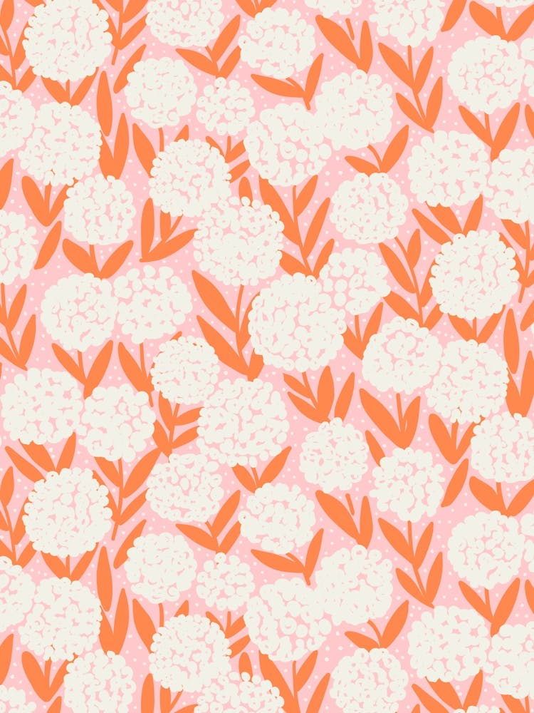 Blooming Abstract Allium Flowers White Orange Pastel Pink