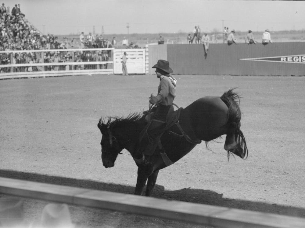 Untitled Photo, Possibly Related To Fancy Riding Demonstration At The Rodeo Of The San Angelo Fat Stock Show 1