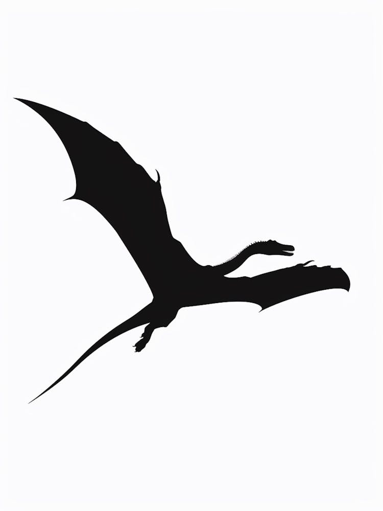 Black Pterodactyl Dinosaur Silhouette