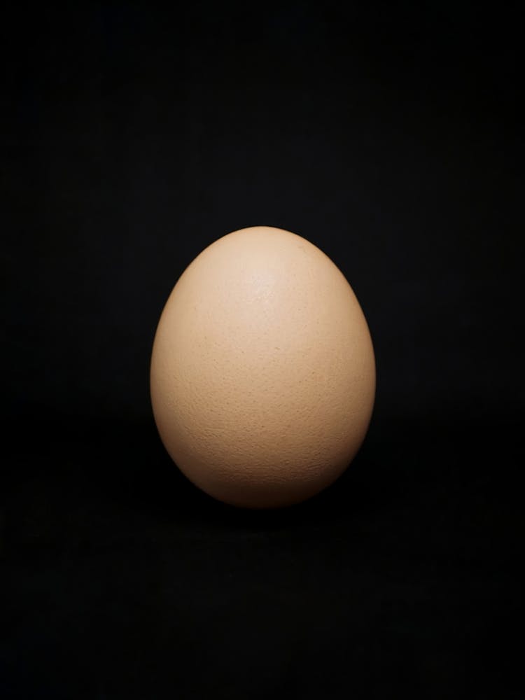 Kitchen Art: The "Egg" On A Black Background!