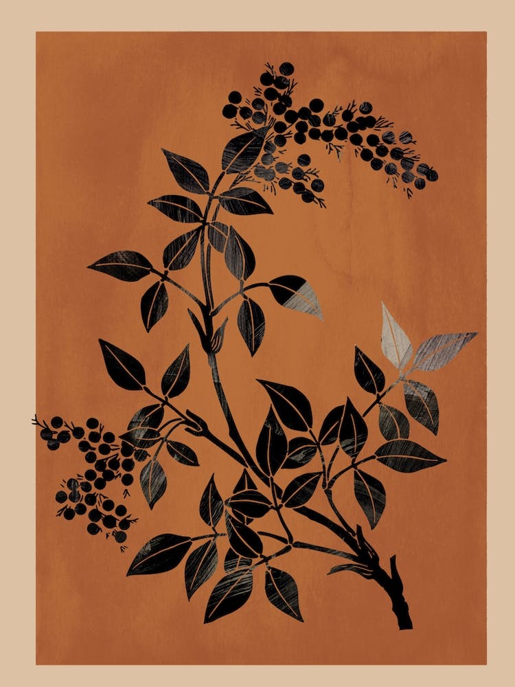 Abstract Art Minimal Plant 3