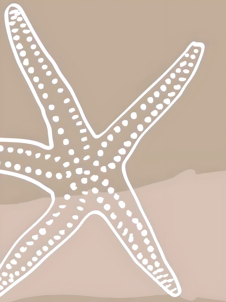 Starfish 30