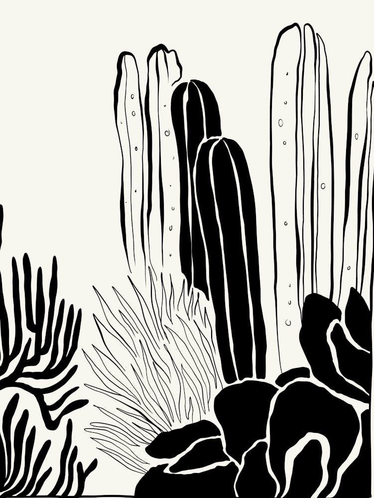 Desert Plants Black and White Landscape