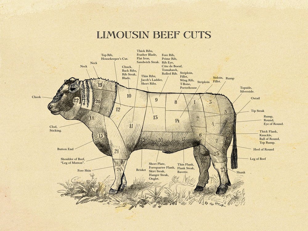 Limousin Beef Cuts Butcher Cuts Chart