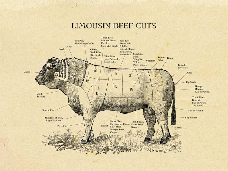 Limousin Beef Cuts Butcher Cuts Chart